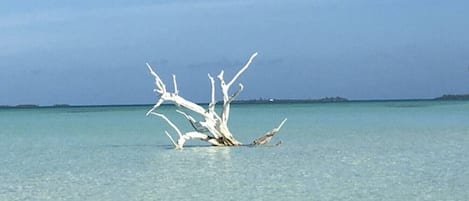 Plage à proximité, serviettes de plage