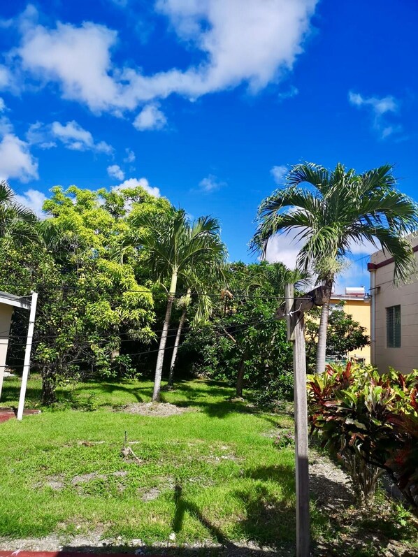 Property grounds - Ventnor House Apartments. Spacious and within walking distance to Accra Beach. (Rockley)