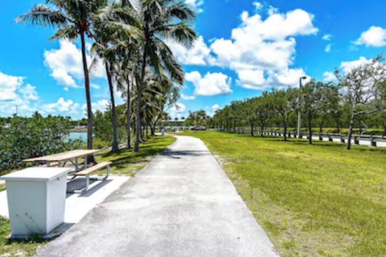 A paved pathway lined with benches and palm trees, leading towards a body of water.
