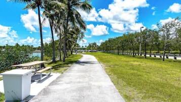 A paved pathway lined with benches and palm trees, leading towards a body of water.