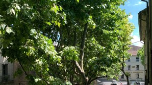 Vista de una calle con árboles, una acera y edificios.