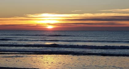 1 Bedroom Condo steps from the beach with pool