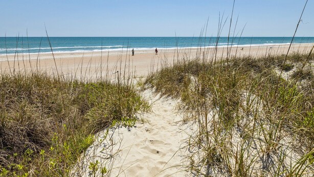 A sandy beach with sparse vegetation and a clear view of the ocean.