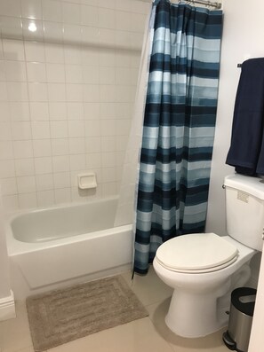 Ensemble douche/baignoire, sèche-cheveux, serviettes fournies, savon