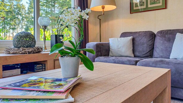 Uma sala de estar com um sofá cinzento, uma mesa de centro com uma revista, uma orquídea em vaso e um abajur.