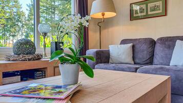 TV connectée, lecteur de DVD