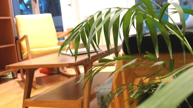 Une pièce avec une table et des chaises en bois, une plante en pot et une porte ornée d’une représentation artistique d’un nuage et d’un arbre.