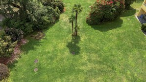 Ein gepflegter Garten mit verschiedenen Sträuchern und einem ordentlich geschnittenen Rasen.