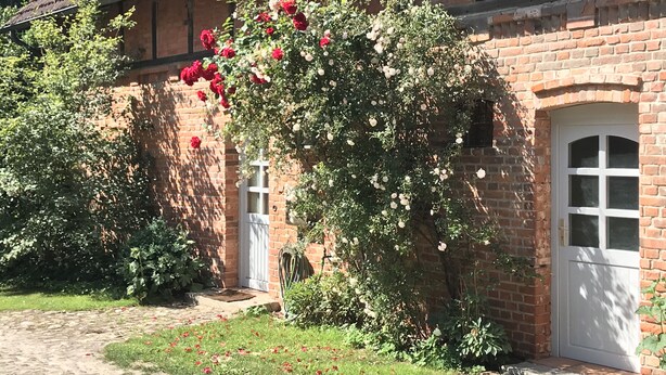 Un edificio in mattoni con una porta e una finestra bianca, circondato da un giardino fiorito con fiori rossi e bianchi.