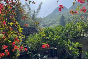A traditional building with a tiled roof, surrounded by lush greenery and flowering plants. - Zen Box House (Guilin)