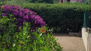 Un jardín con flores vibrantes y vista al mar y montañas lejanas.