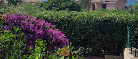 A garden with vibrant flowers and a view of the sea and distant mountains.