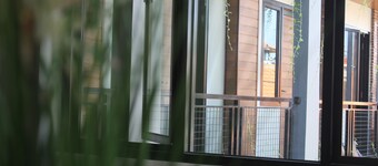 Amarilis near Sam Poo Kong