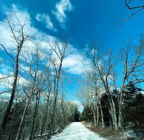 Eine schneebedeckte Straße, gesäumt von kahl stehenden Bäumen, unter blauem, wolkenlosem Himmel.