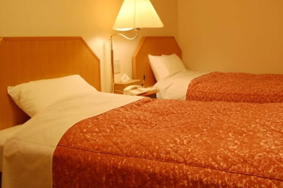 Escritorio, tabla de planchar con plancha, wifi gratis y ropa de cama