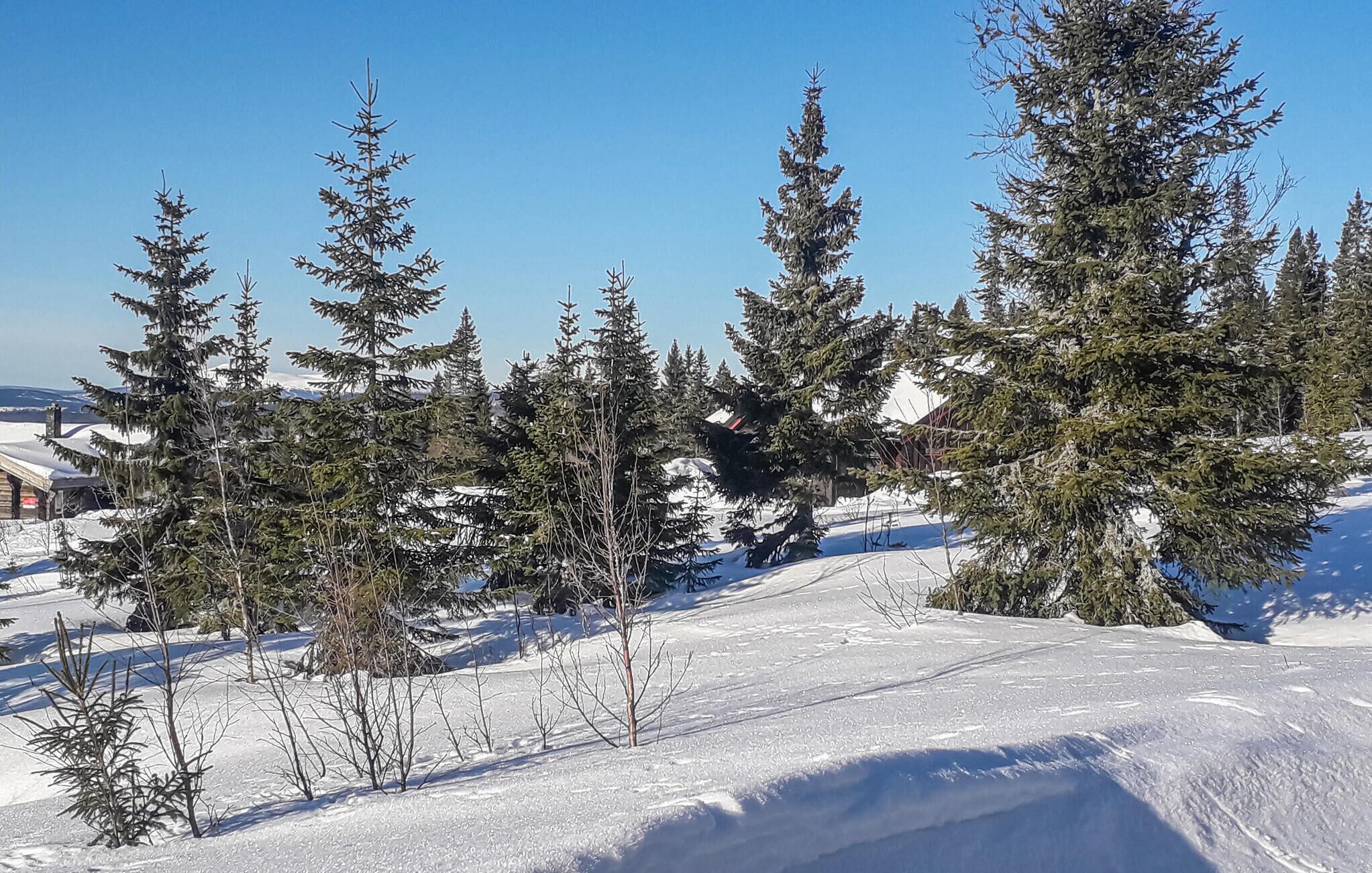 Schneebedeckte Landschaft mit immergrünen Bäumen und blauem Himmel.