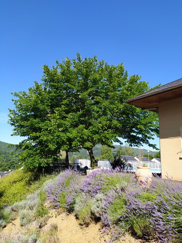 2-ROOM APARTMENT BALCONY SWIMMING POOL VILLAGE GOÉLIA