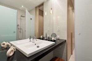 Ducha, secador de pelo, toallas