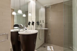 Shower, hair dryer, towels