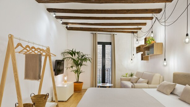A bedroom with a bed, a hanging light fixture, a plant, and a TV. - Cozy and elegant studio in the city center (Barcelona)