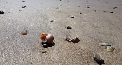 Spacious farm cottage full of character - rural yet close to beaches & castles