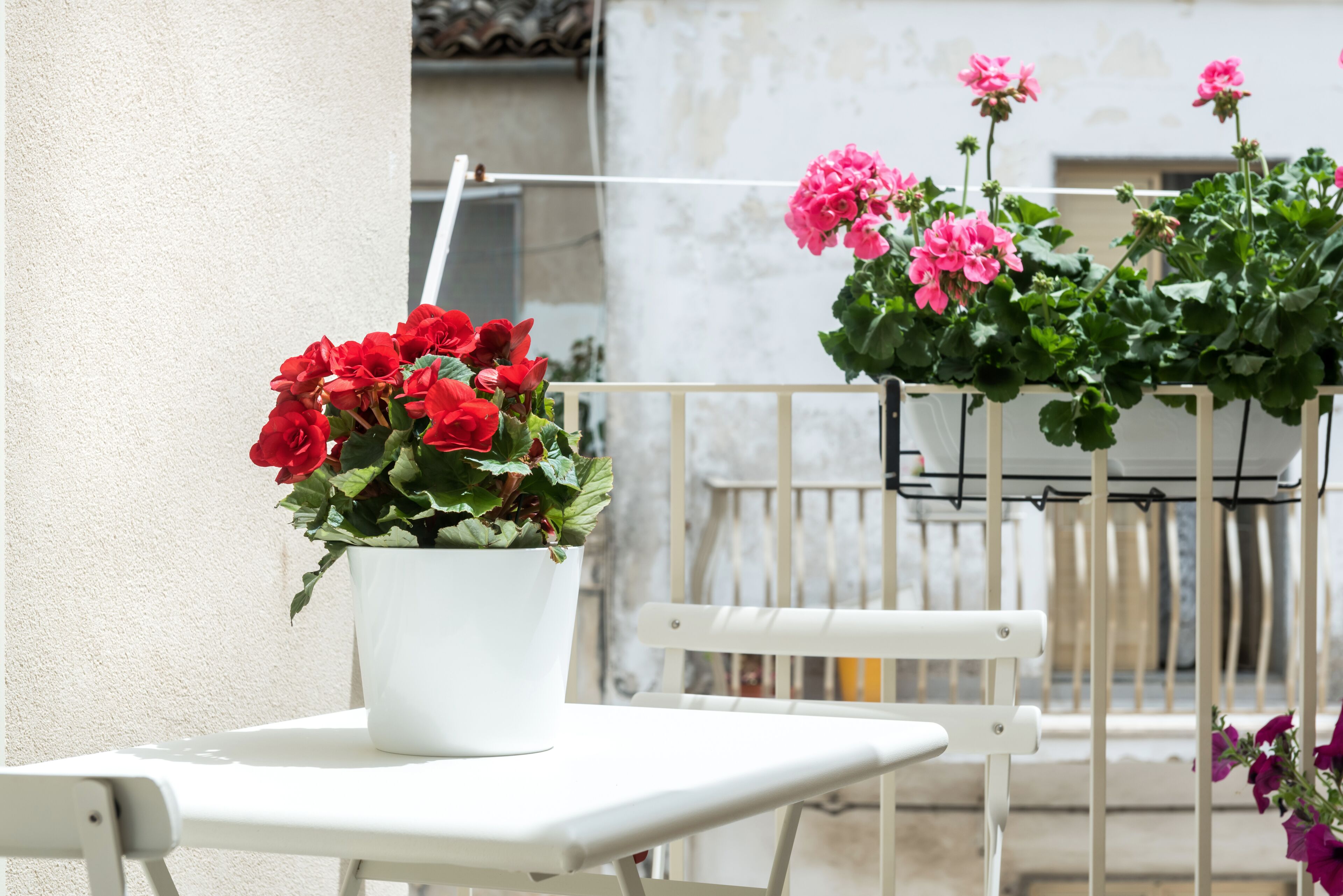 Foto - Aurà - Guest House Iblea