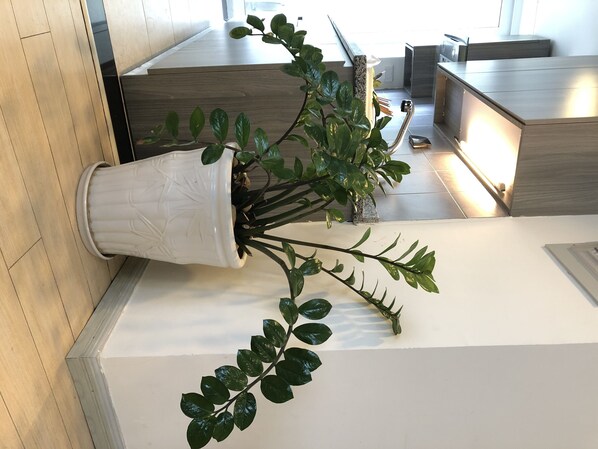 Interior - Comfortable (Hung Yen)