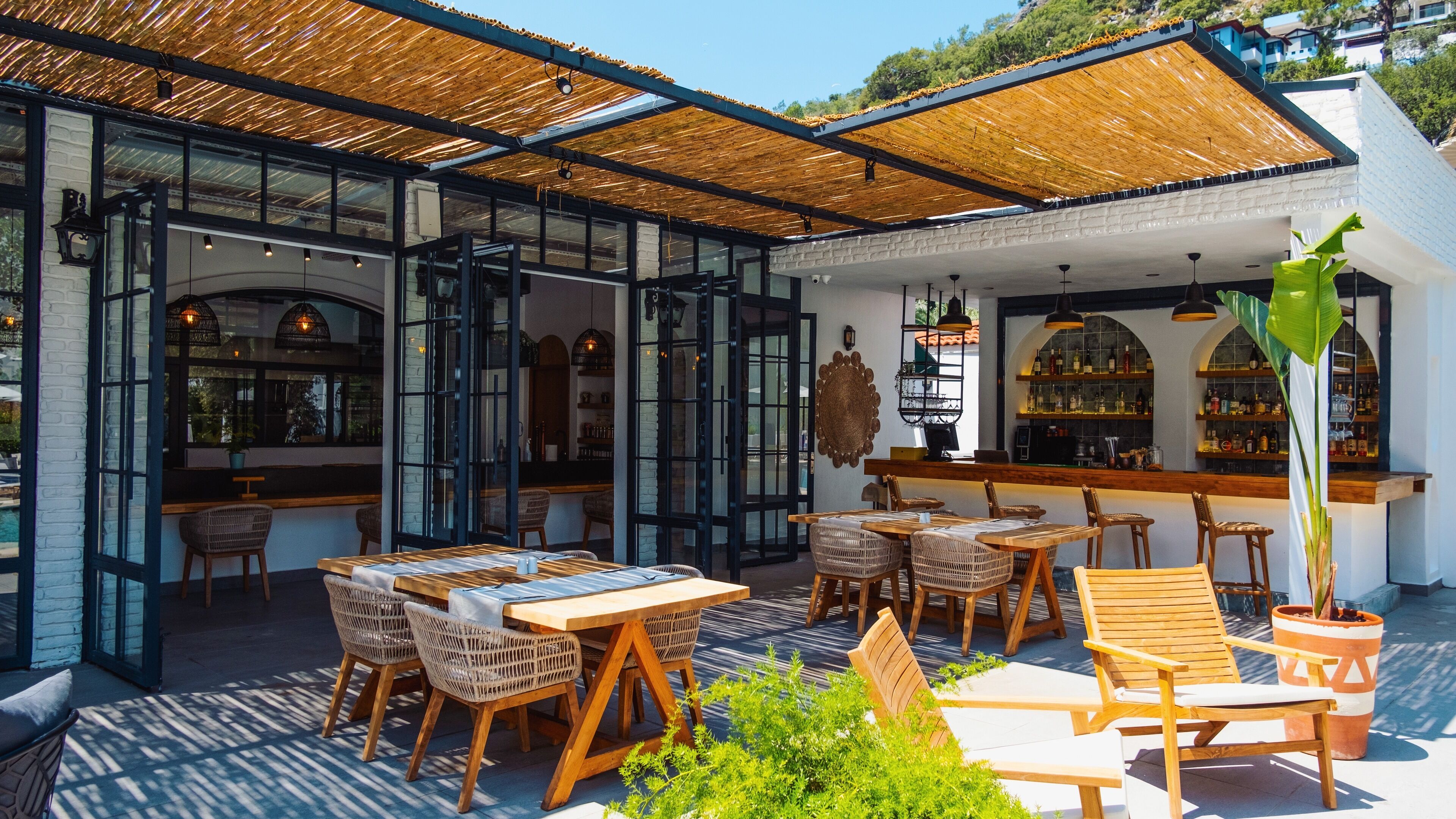 An outdoor seating area with tables and chairs, a bar with shelves of bottles, and a large plant.