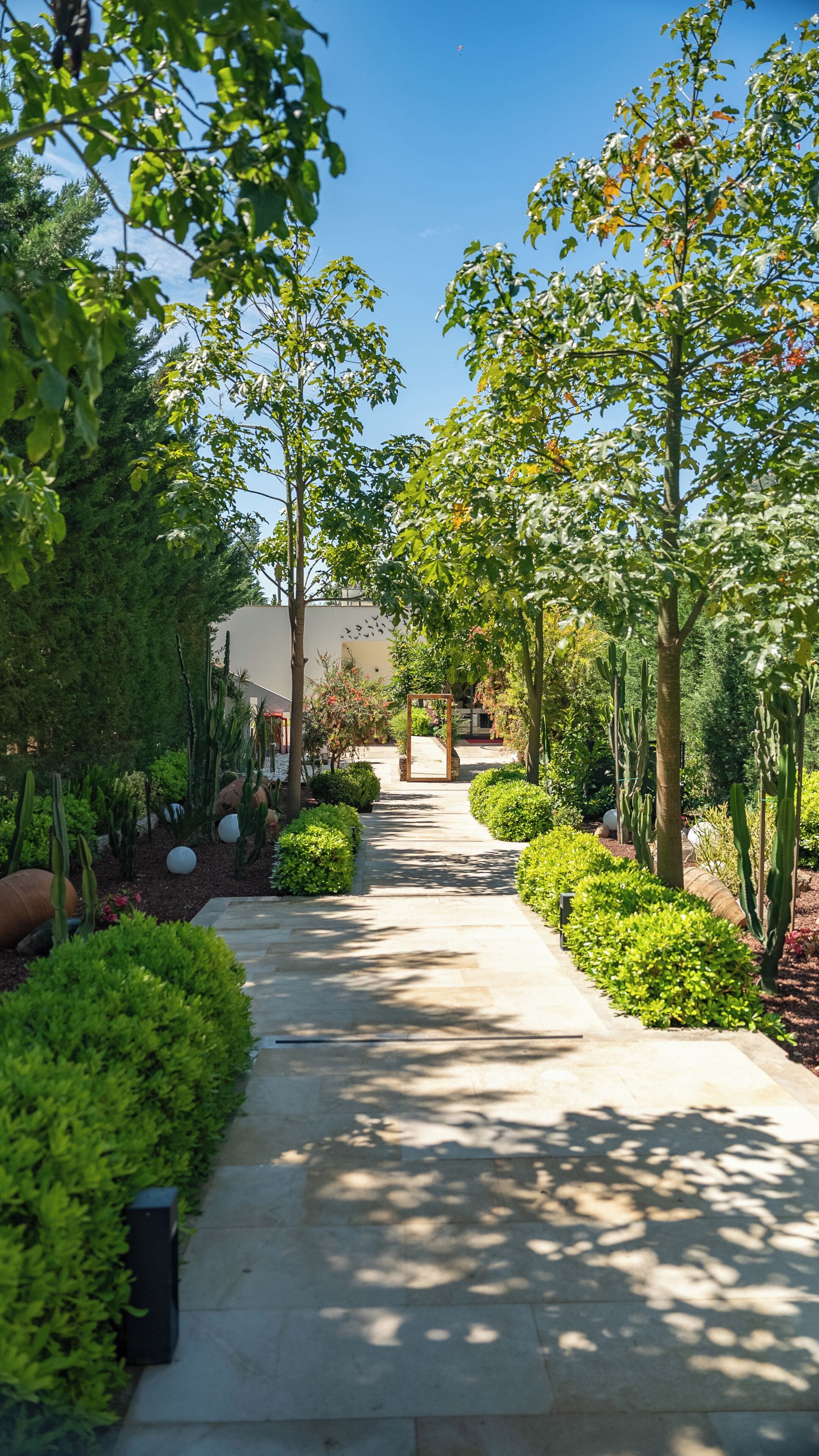 Garden view