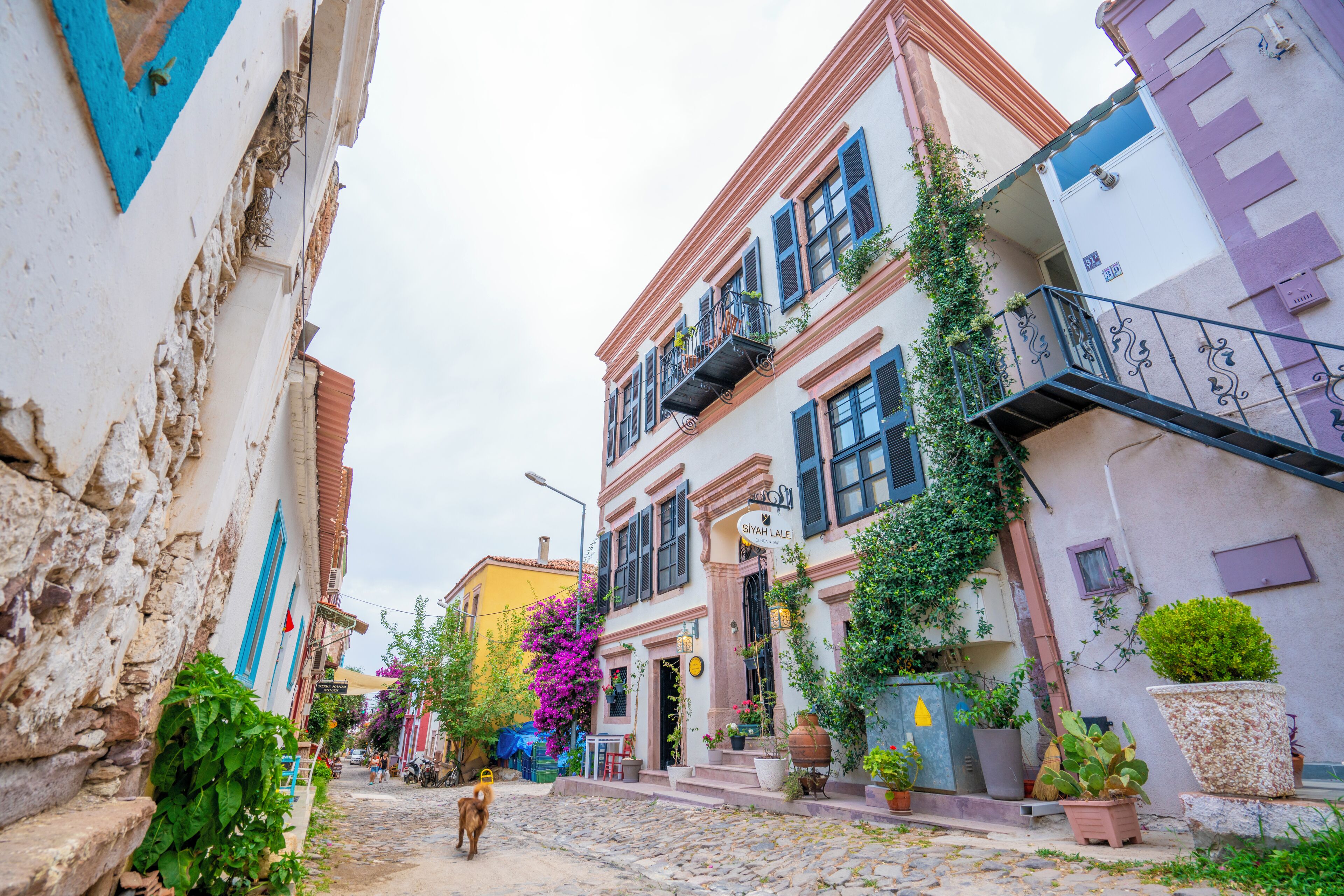 Uma rua de paralelepípedos estreita, ladeada por edifícios coloridos, alguns com varandas e plantas em vasos.