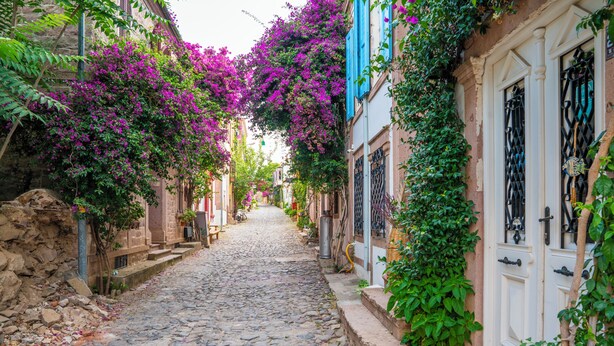 A cobblestone street lined with buildings, some with balconies and vegetation. - Siyah Lale Cunda 1841 (Ayvalik)