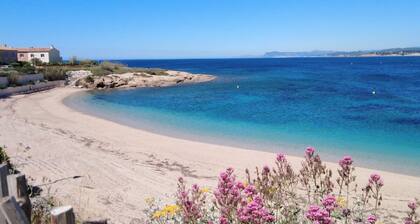 Apartment T2 sea view beach walk