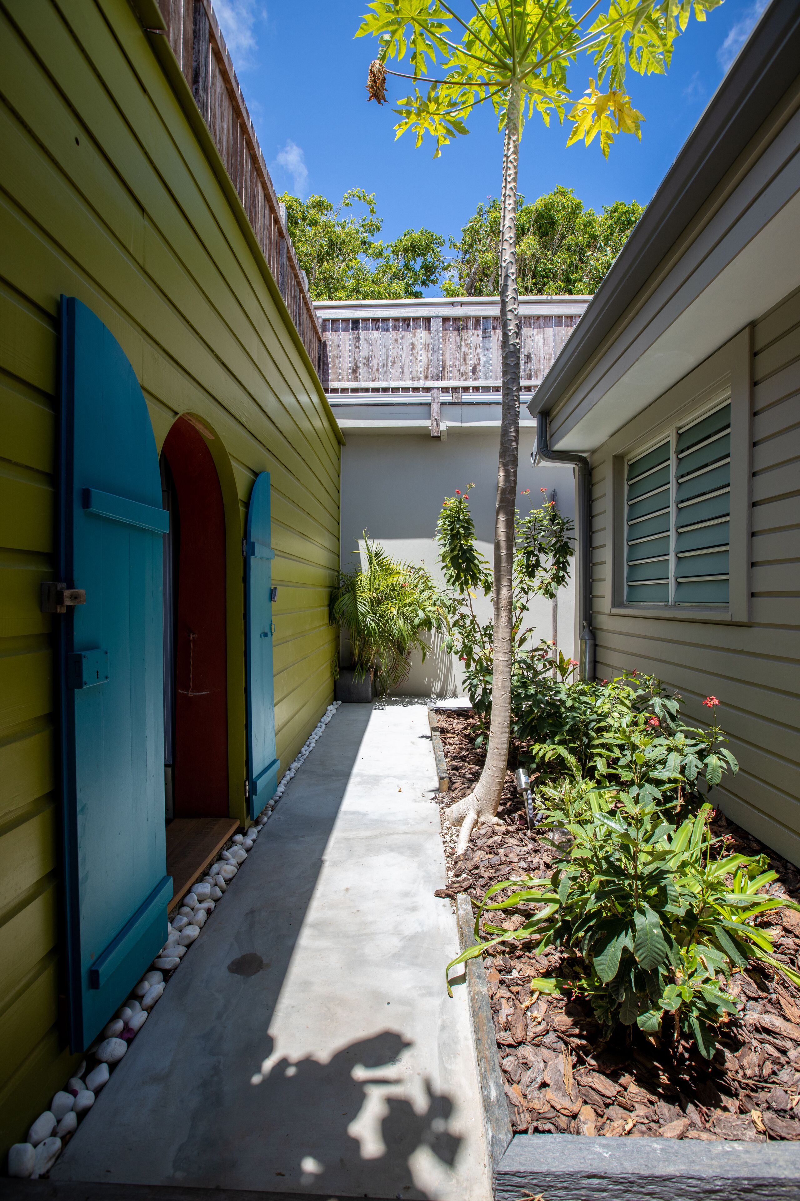 A narrow pathway flanked by buildings with colorful doors and a small tree in the center.