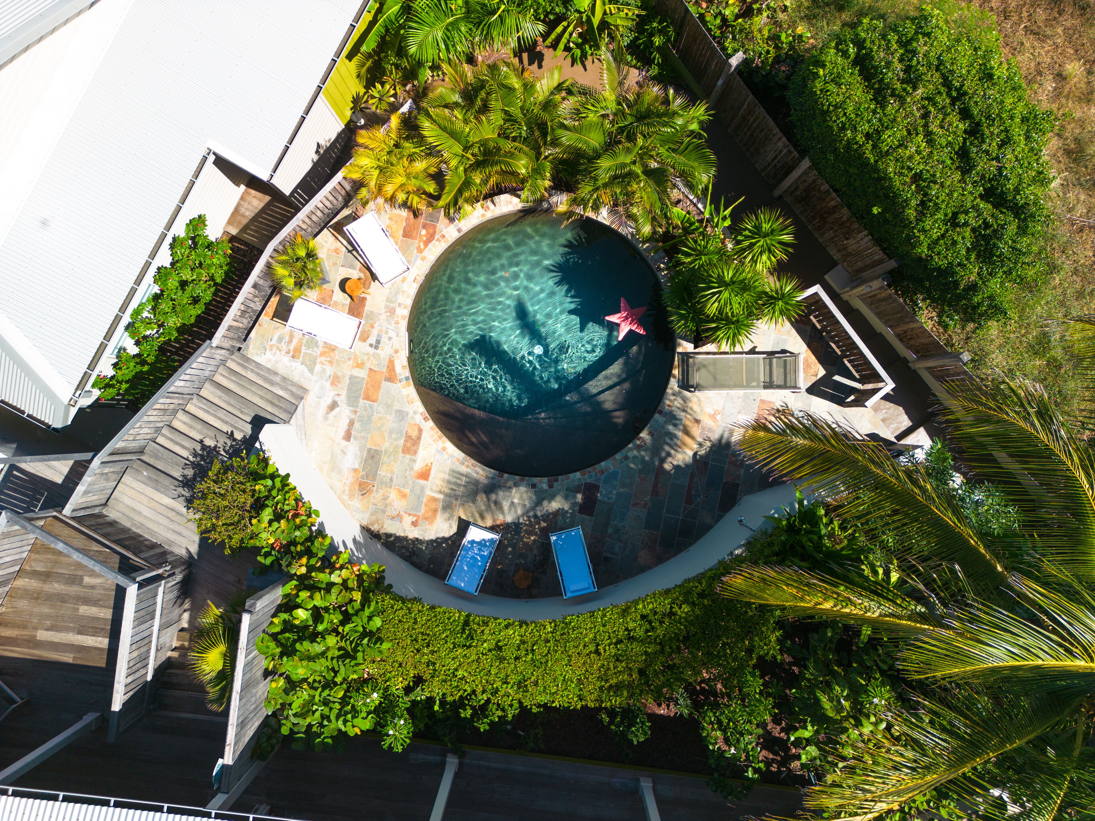 A circular pool with a starfish decoration, surrounded by palm trees and a tiled deck.
