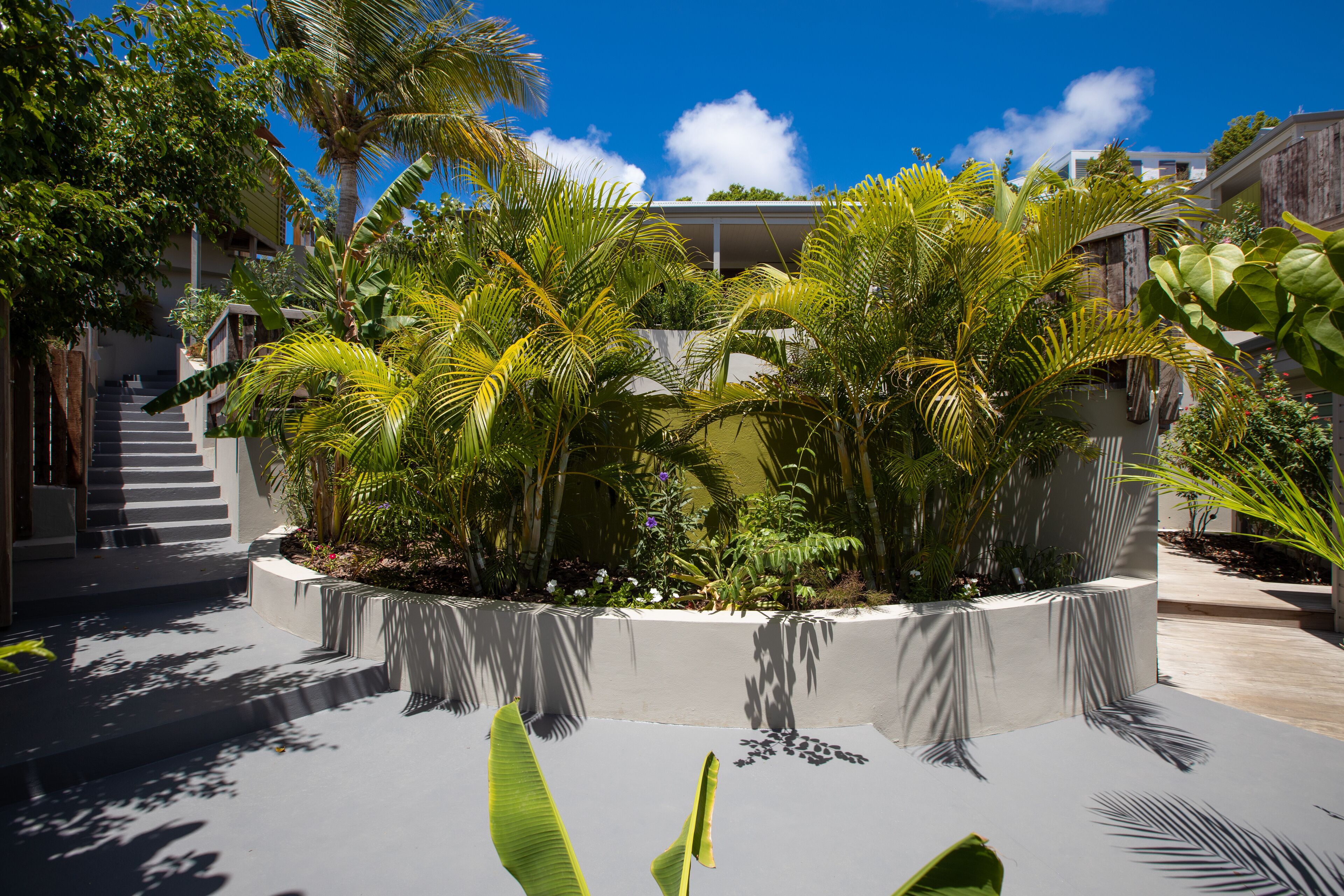 Un edificio moderno con un macetero de hormigón lleno de plantas tropicales, una escalera que conduce a la entrada y un cielo azul claro.