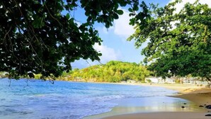 Ein Strand mit klarem, blauem Wasser, sandigem Ufer und üppigen, grünen Bäumen.