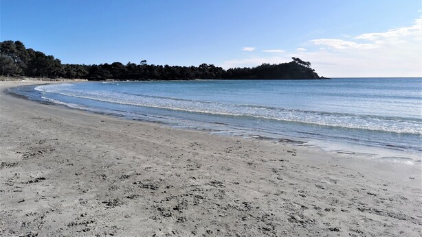 Una spiaggia con un litorale curvo, mare calmo e una collina boscosa sullo sfondo.