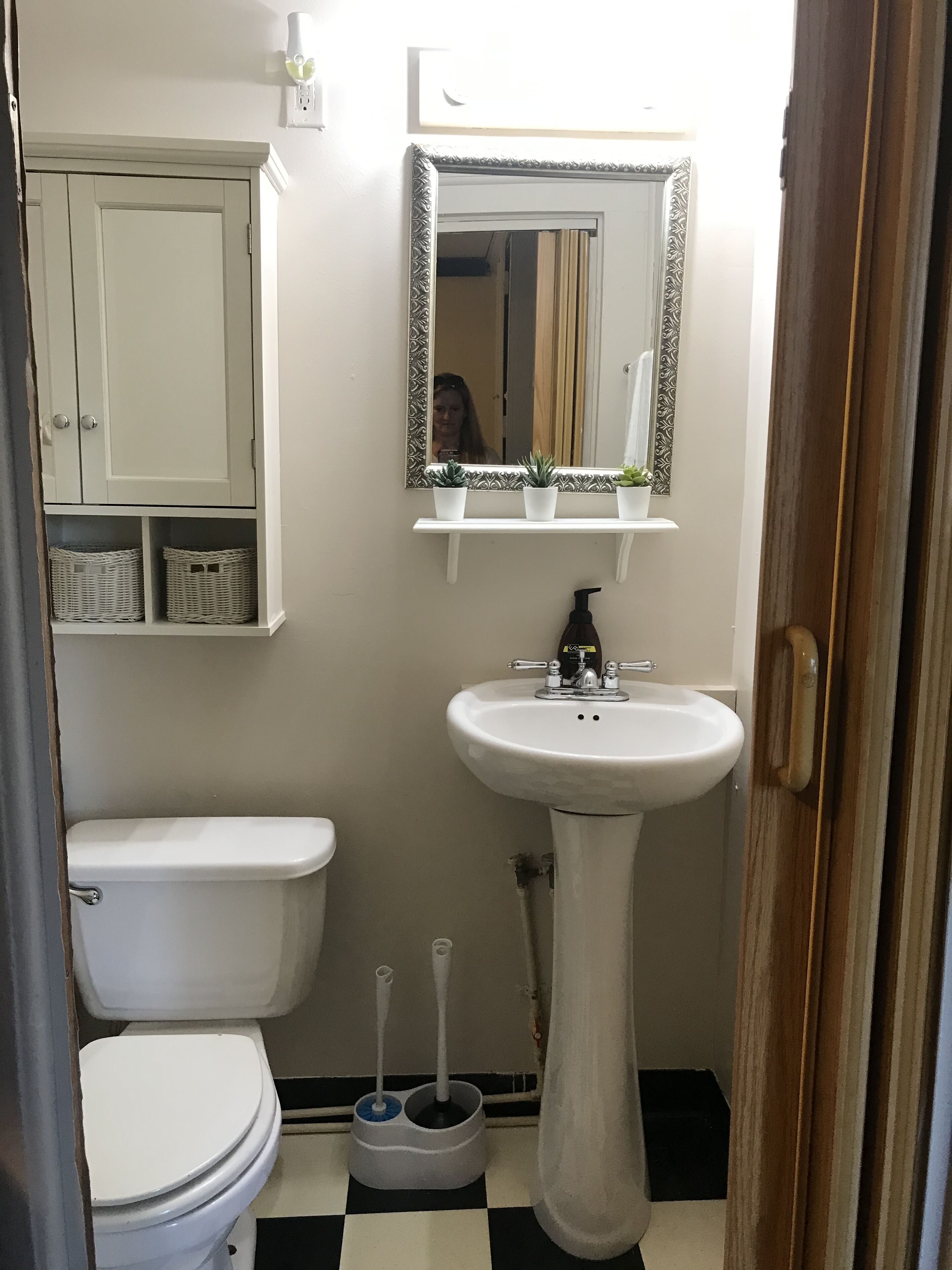 Une salle de bain comprenant des toilettes, un lavabo sur colonne, un miroir et une étagère avec des plantes en pot.
