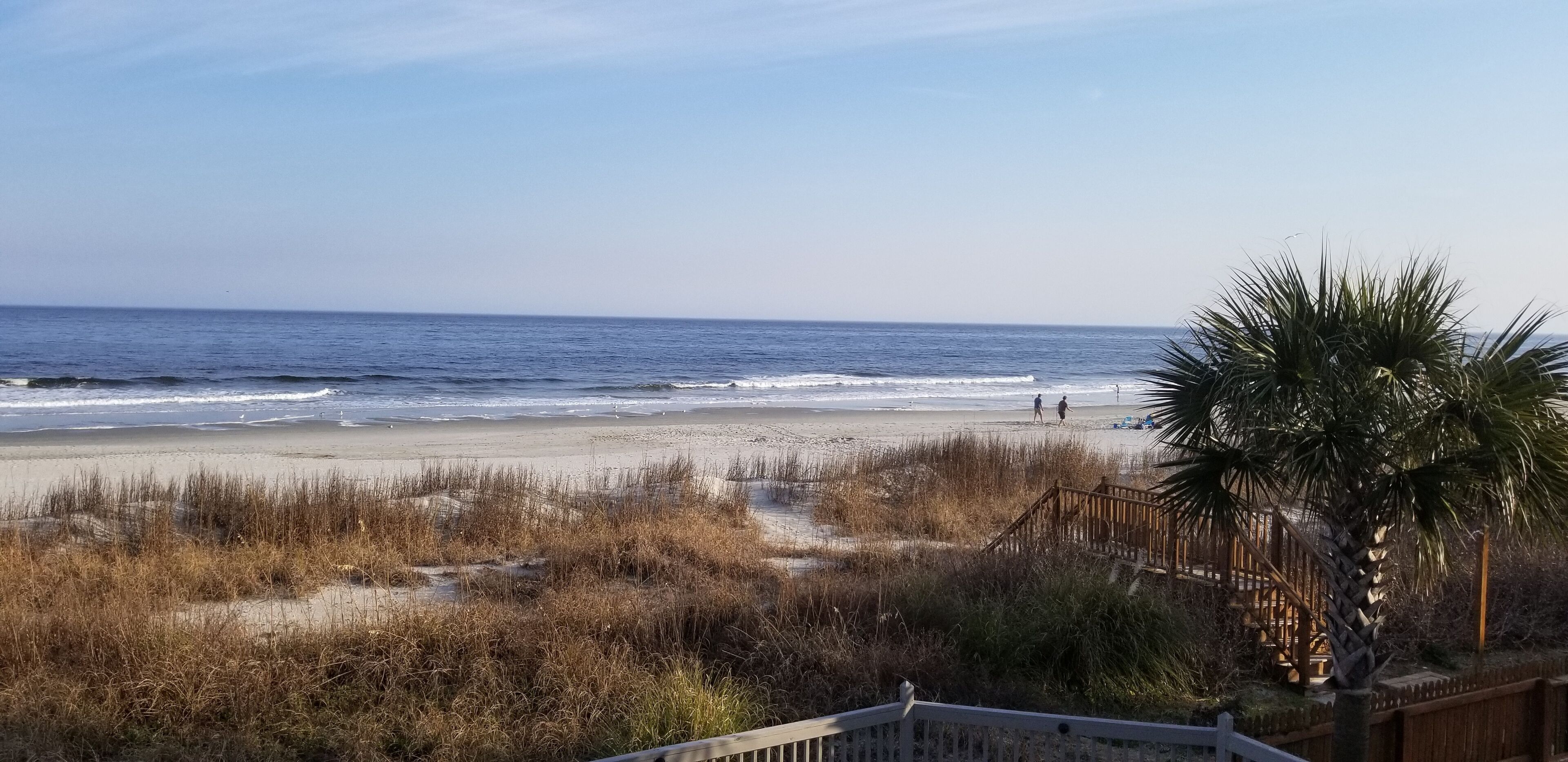A beach view with a wooden deck and a palm tree.