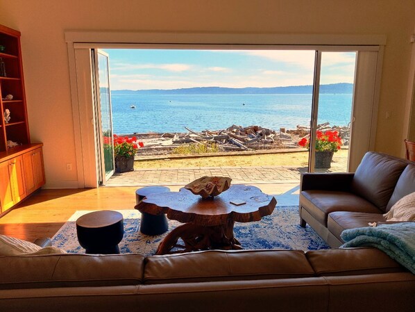 Smart TV, chimenea, libros y oficina 