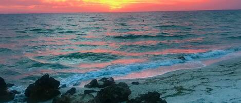 Sun loungers, beach towels