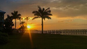Vista del atardecer con palmeras y un muelle.