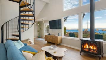 Smart TV, chimenea, reproductor de DVD y libros