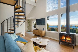 TV connectée, cheminée, lecteur de DVD, livres