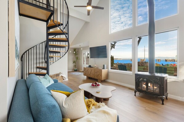 Smart TV, fireplace, DVD player, books
