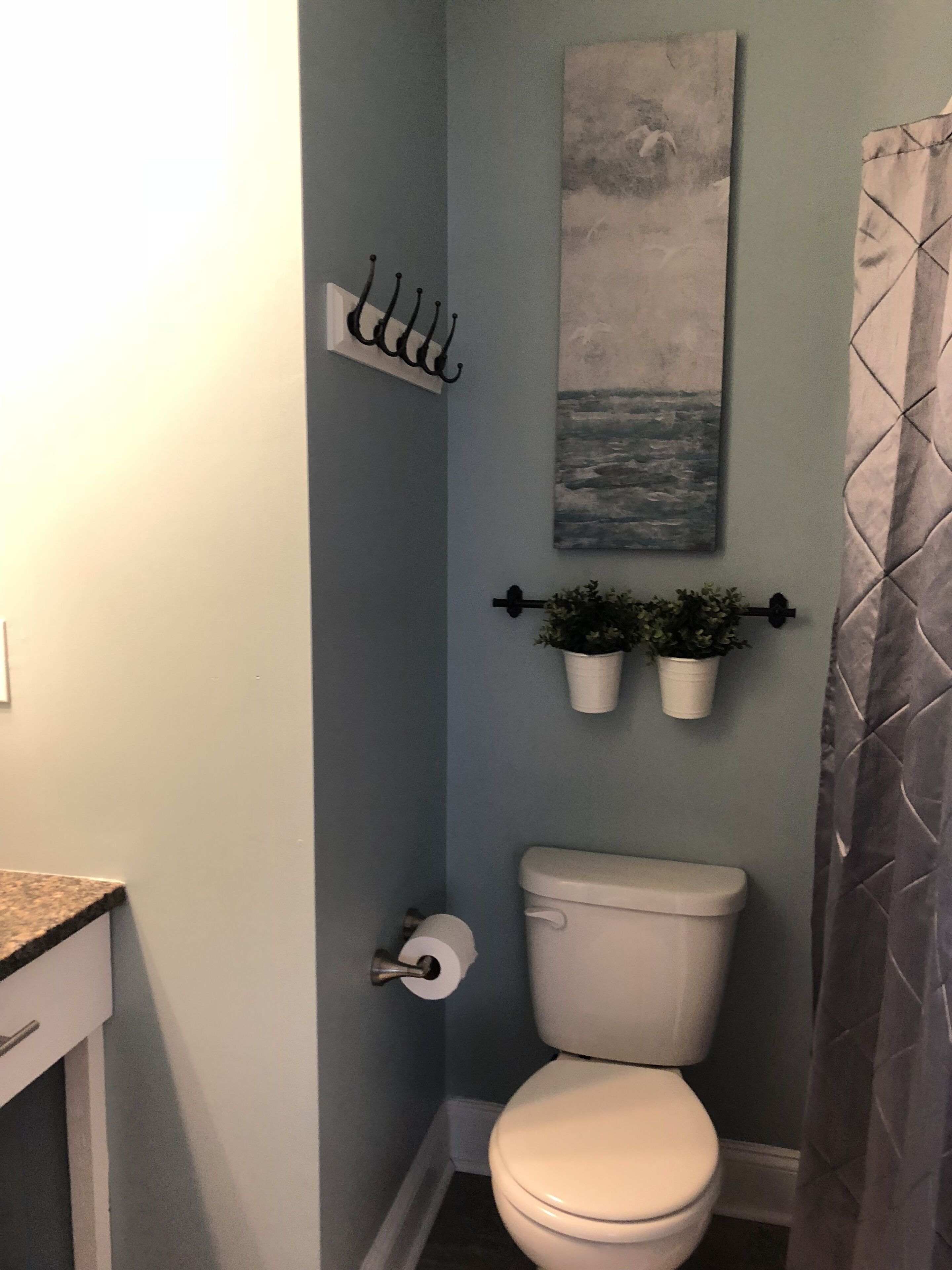 A bathroom with a toilet, a roll of toilet paper, a wall-mounted rack with hooks, and two potted plants.