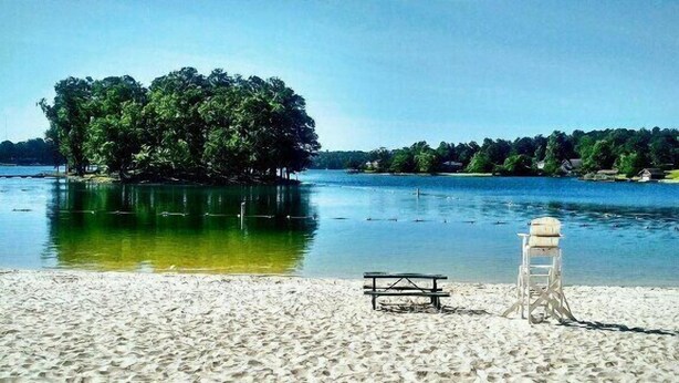 Ein Strand mit einer Holzbank und einem Rettungsschwimmerstuhl, eine kleine Insel mit Bäumen und ruhigem Wasser.