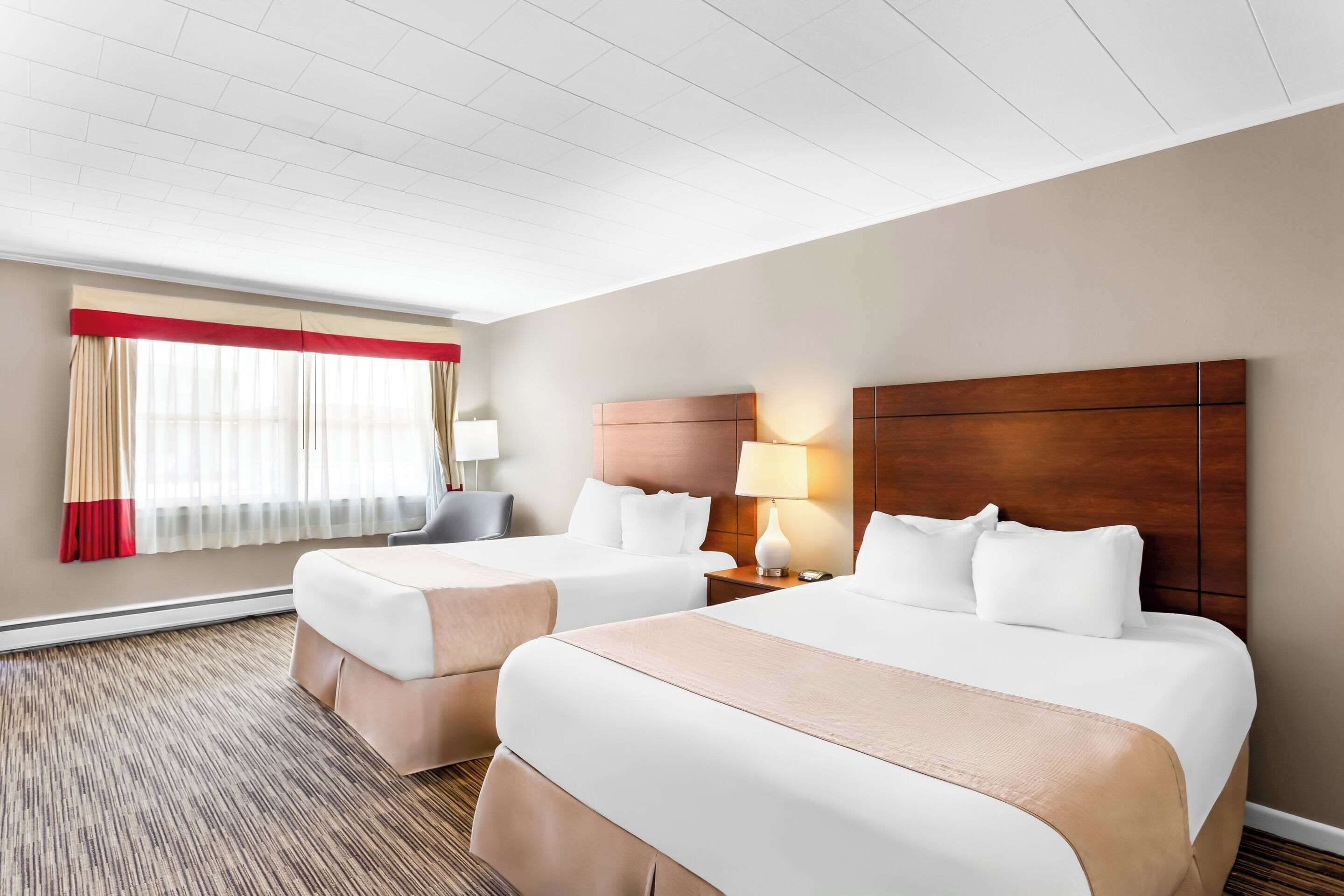 ピロートップベッド、デスク、アイロン / アイロン台、WiFi (無料)