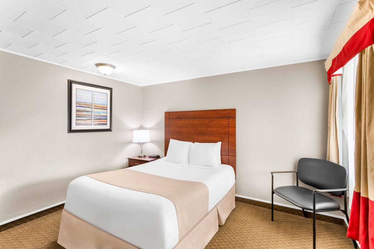 A hotel room with a bed, a chair, a nightstand with a lamp, and a framed picture on the wall.
