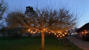 A tree with string lights in a grassy area, a brick pathway, and a building in the background.